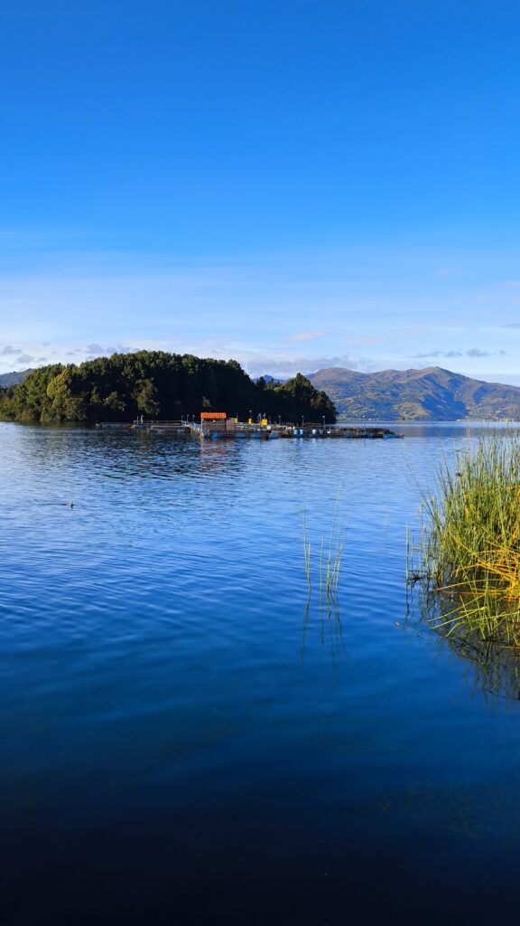 Jaulas de cultivo de trucha arcoíris en el Lago de Tota, Boyacá - TroutCo S.A.S.