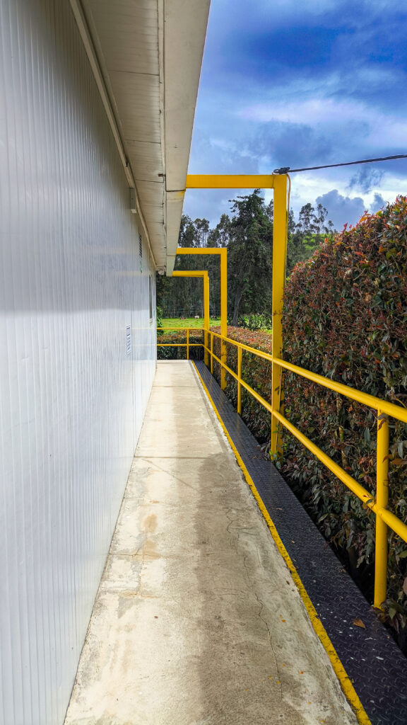 Planta de procesamiento de trucha arcoíris certificada TroutCo S.A.S. - Inocuidad y BPM.